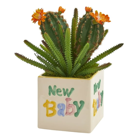 11in. Cactus Succulent Artificial Plant in "New Baby" Planter
