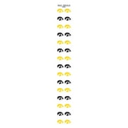 University of Iowa Nail Sticker Decals