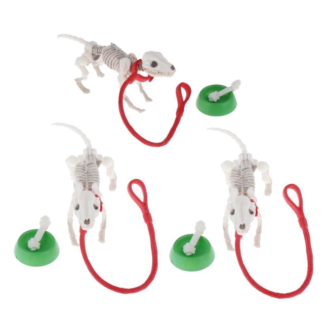 3 Pieza Para Perros, Juguetes Para , Accesorios Para fotografía De Cuenco Hugo Cachorro esqueleto en miniatura