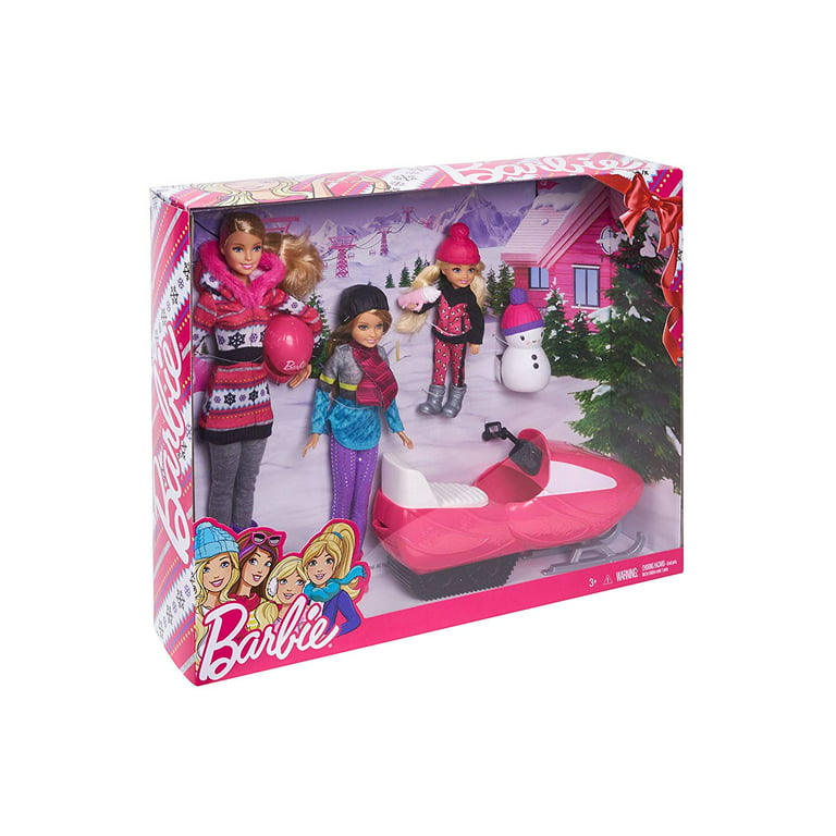 Barbie Sisters Snow Fun Doll Giftset