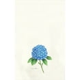 thumbnail image 3 of Betsy Drake Interiors Dick's Hydrangea Kitchen Towel, 3 of 3