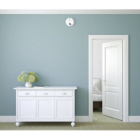 First Alert Smoke And Carbon Monoxide Alarm, 2 Aa Batteries