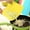 Yellow, variant on Usbinx Life Set of Food-Safe Non-Slip Color Cutting Boards 29x19cm Multi Use Kitchen Mats Dishwasher Safe