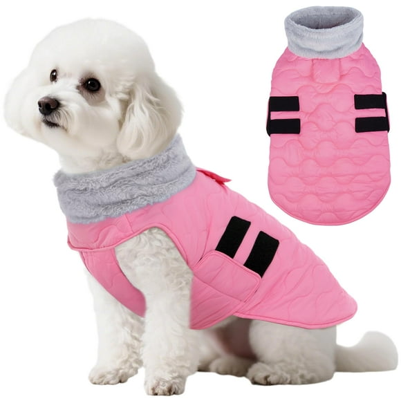 Kuoser S Veste Thermique pour Chien / Manteau d'Hiver Coupe-Vent pour Chiot Poméranien - Chauffage Intérieur & Jeu de Neige Extérieur