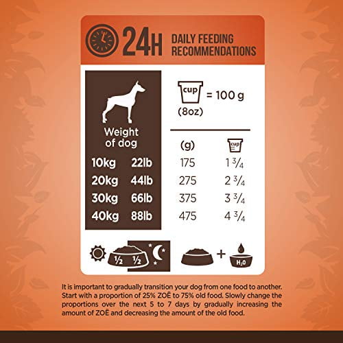 Dog Feeding Labrador Daily Food Chart Chart Labrador Retriever