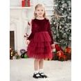 thumbnail image 4 of IDOPIP Toddler Baby Girls Christmas Velvet Dress Long Sleeve Ruffle Tulle Princess Dress, 4 of 9