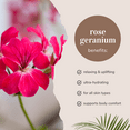 thumbnail image 3 of Rose Geranium Essential Oil - 128 fl oz (1 Gallon) Plastic Bottle w/ Cap - 100% Pure Essential Oil by GreenHealth, 3 of 6