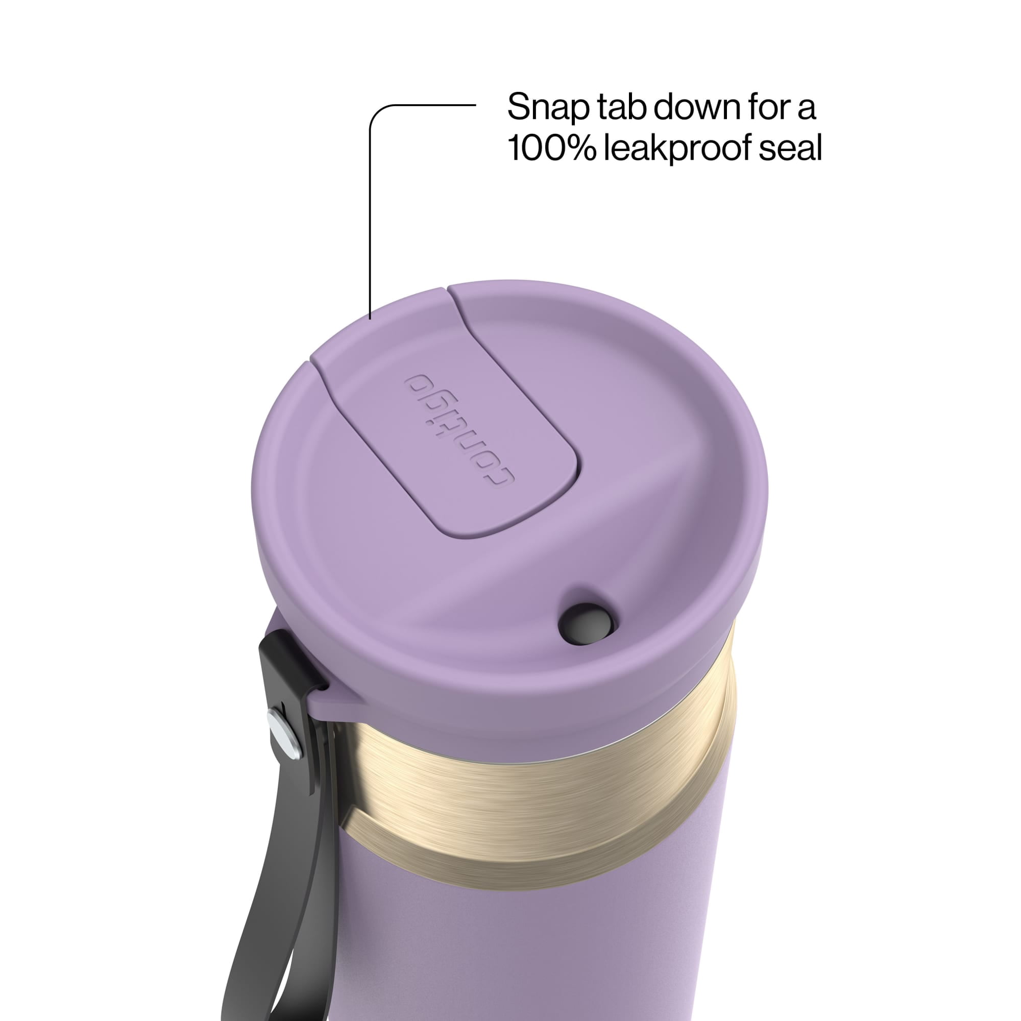 Contigo SnapSeal Leakproof Stainless Steel Reusable Water Bottle with Carrying Strap, Purple/Champagne, 24 oz