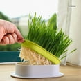thumbnail image 2 of Huanglei Pet Supplies Cat Growing Hydroponic Box Hydroponic Box, 2 of 9