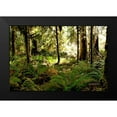 thumbnail image 2 of Murdock, Ramona 18x13 Black Modern Framed Museum Art Print Titled - Morning Sunshine, 2 of 5