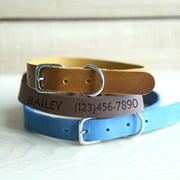 Genuine Leather Custom Pet ID Collar