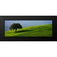 thumbnail image 2 of Lake, Shelley 24x11 Black Modern Framed Museum Art Print Titled - Tuscan Tree, 2 of 5