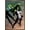 Bronze Framed Version, variant on Marvel Comics - She-Hulk - She-Hulk #29 Wall Poster, 22.375" x 34", Framed