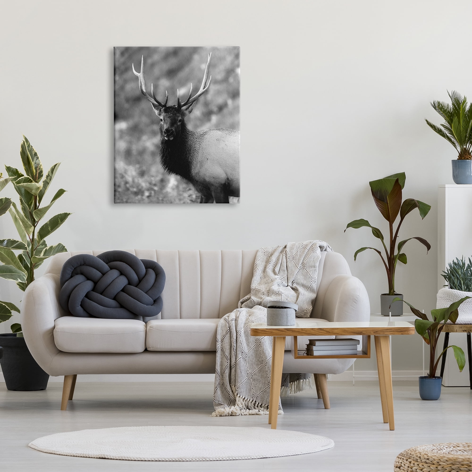 Stupell Industries Grey Elk Photography Animals & Insects Photography Gallery Wrapped Canvas Art Print Wall Art, 30 x 40