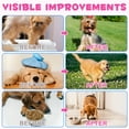 thumbnail image 2 of Oimmal Liquid Collagen for Dogs - Hip and Joint Support with MSM, Ginger - Boost Immunity for Dogs Coat & Digestive Healthy | Collagen Supplement for Dogs 4 fl oz - Bacon Flavor, 2 of 10