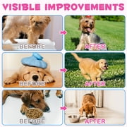 Oimmal Collagen for Dogs, Hip and Joint Supplement with MSM, Liquid Collagen for Dogs, Boosting Overall Immunity for Dogs, 2 fl oz - Bacon Flavor