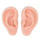 thumbnail image 2 of Modelo De Oreja Silicona Para Práctica De Perforación De Orejas, Accesorios De Exhibición De Aretes, Modelo De Oreja De Simulación Y Flexible, 2 of 7