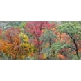 thumbnail image 2 of Paulson, Don 14x9 White Modern Wood Framed Museum Art Print Titled - TX, Guadalupe Mts Panoramic of McKittrick Canyon, 2 of 4