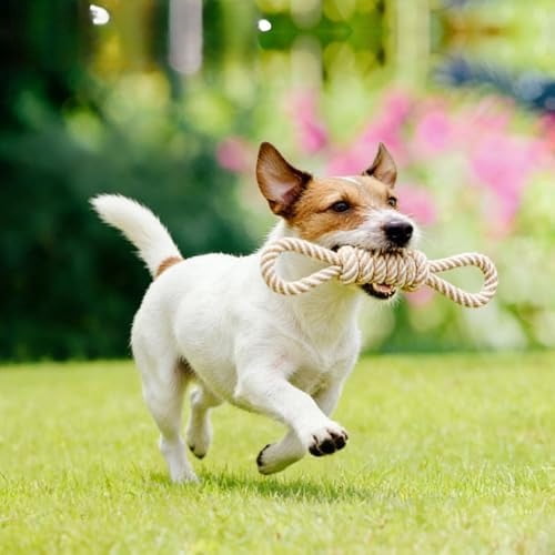 Dog Rope Toy for Small Dog 5pcs, Natural Chew Toys for Puppy, Medium & Small Dogs, Tug of War Rope for Puppies Clean & Relieve Teething