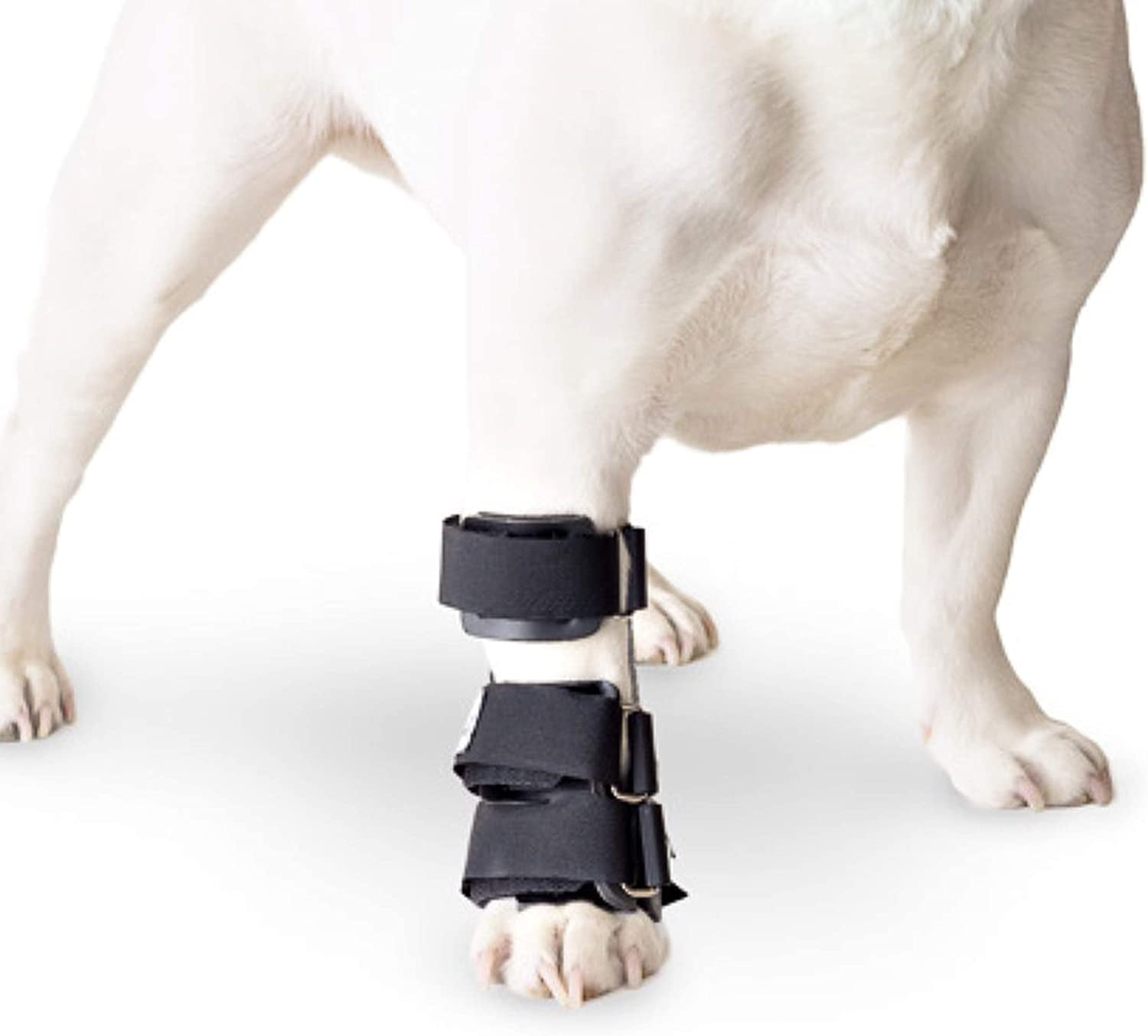 Walkin' Pet Splint for Dogs Dog Carpal Foot Splint for Dogs with