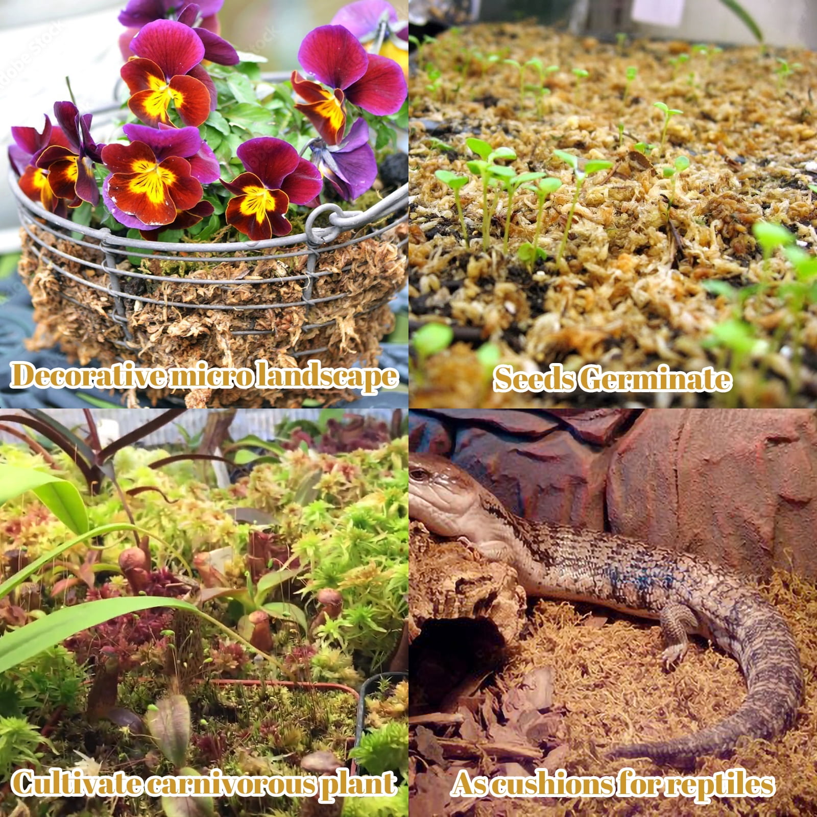 2.2LBS Premium Sphagnum Moss for Plants- 40QT Natural Succulent Carnivorous Plant Moss Dried, Long Fiber Orchid Moss for Orchid Repotting Succulent Sarracenia Potted Plants Gardening & Reptiles