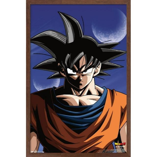 Dragon Ball Z - Goku