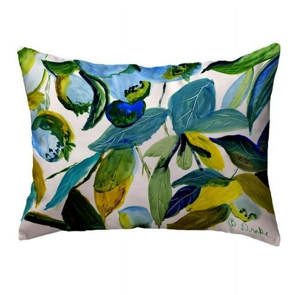 Betsydrake KS1158 11 x 14 in. Betsys Blueberries No Cord Pillow - Small