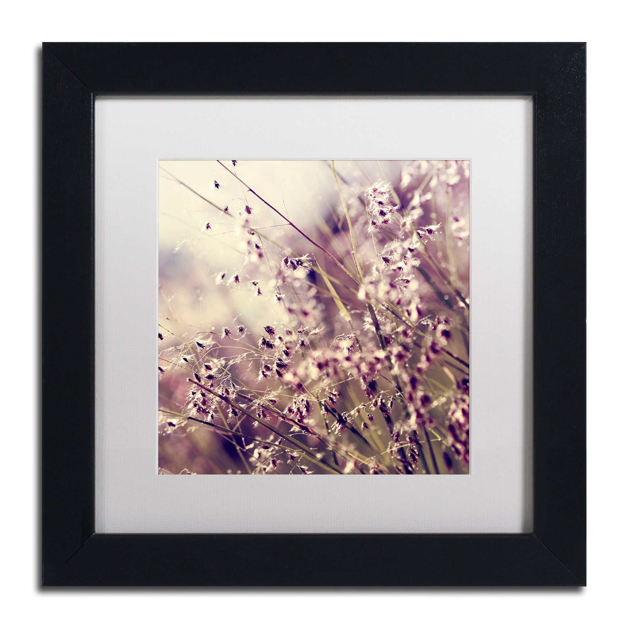 Trademark Fine Art "Field of Sunshine" Canvas Art by Beata Czyzowska Young, White Matte, Black Frame