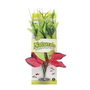 Marina Naturals Red/Green Pickerel Silk Plant, Large