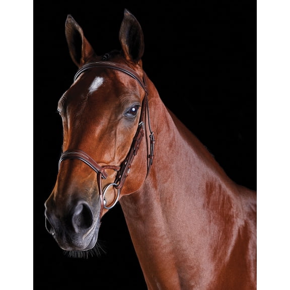 Collegiate ComFITec Fancy Stitch Bridle Color: Brown Size: Full