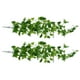 thumbnail image 3 of 2 piezas de planta verde artificial de simulación, vid verde, hoja de uva falsa para decoración, 3 of 7