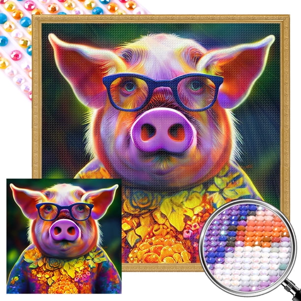 5D DIY Taladro Parcial AB Diamante Pintura Mr Colorful Pig Kit 45x45cm