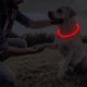 thumbnail image 5 of 4 Piezas Luces para Perros para Caminar Nocturno, Collares para Perros Iluminados, Collar para Mascotas LED Impermeable Ajustable Recargable por USB, Collar para Perros Iluminado de Segurida, 5 of 5