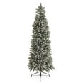 thumbnail image 1 of Home Heritage Anson 7' Slim 350 Clear Pre-Lit Artificial Christmas Tree, 1 of 10