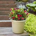thumbnail image 5 of Southern Patio Rolled Rim Poly-Resin Planter Pot, 5 of 11
