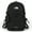 Black 2, variant on The North Face Borealis Black Hydration Backpack, 1 Piece