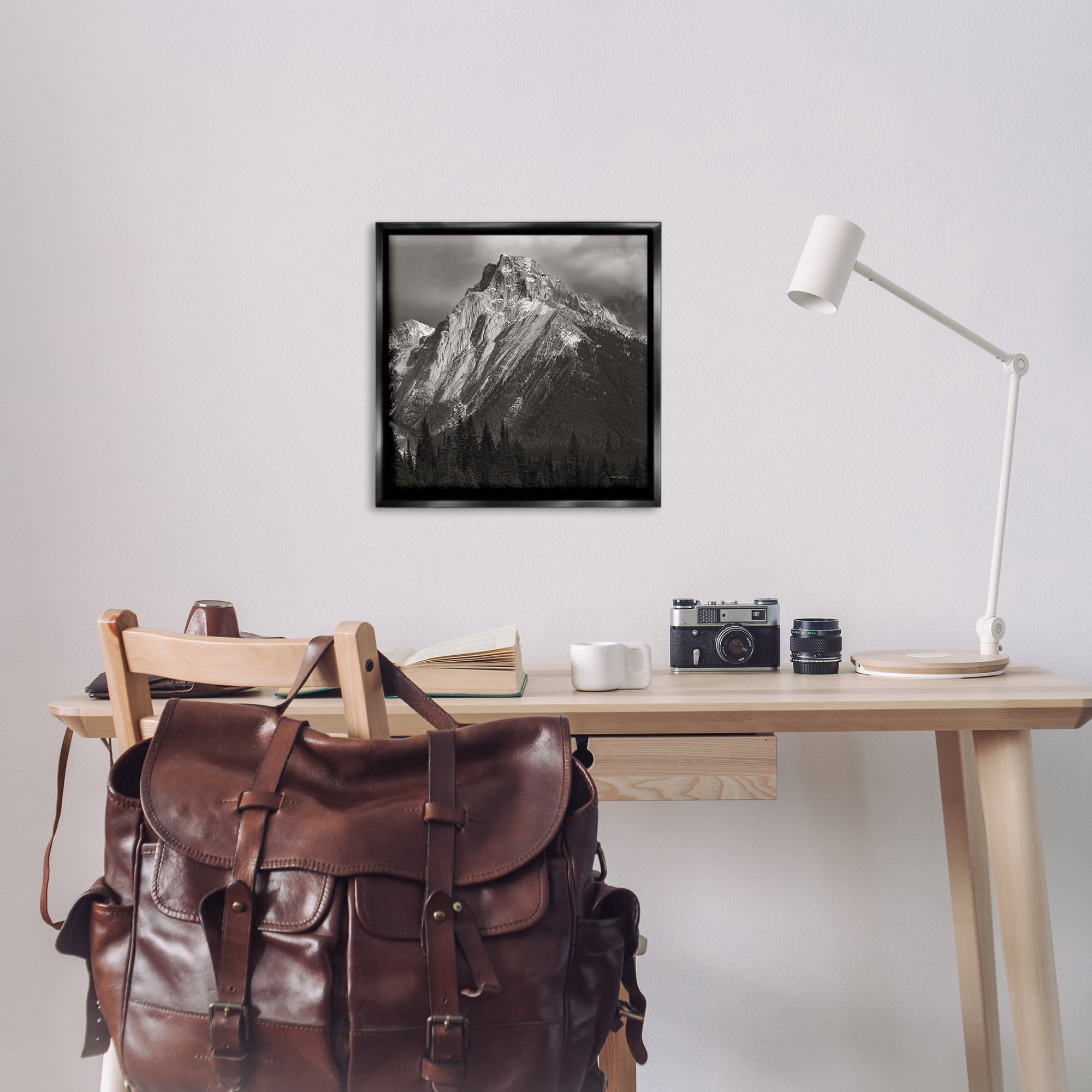 Stupell Industries Canadian Rockies View Landscape & Nature Photography Black Floater Framed Canvas Art Print Wall Art, 25 x 25