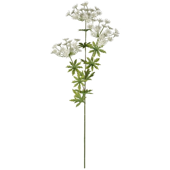 12 Pack: White Queen Anne's Lace Spray by Ashland