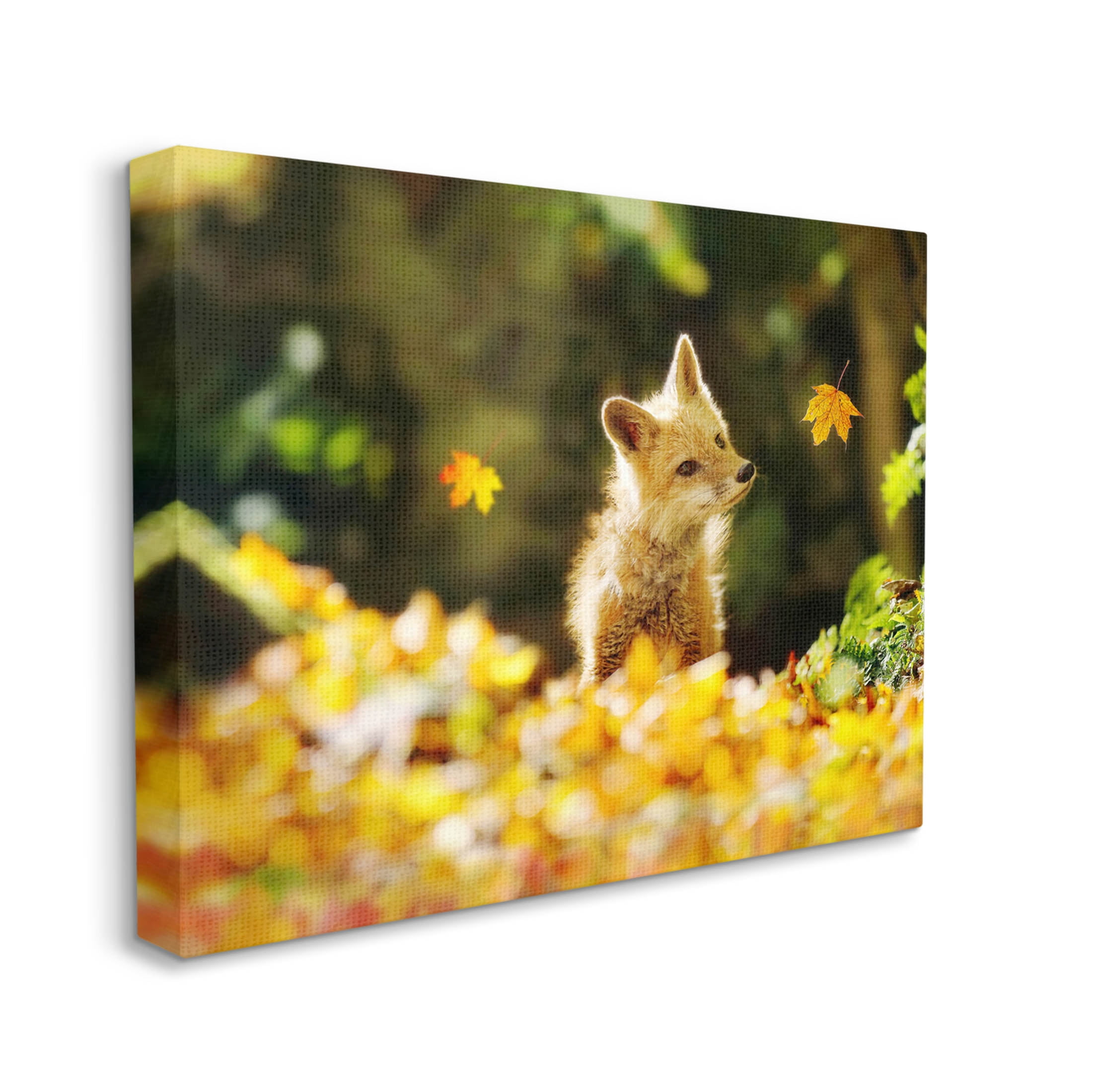 Stupell Industries Fox Watching Autumn Leaves Photograph Gallery Wrapped Canvas Print Wall Art, Design by Carrie Ann Grippo-Pike