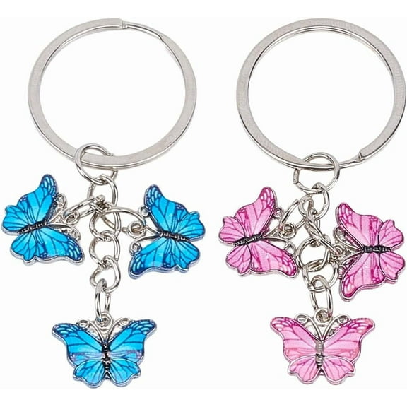 2 Colors Butterfly Key Chain Enamel Flower Keychain Silver Metal Zinc Alloy Spring Pink Blue Charms Pendant Keychains Keyring for Keys Clip Purse Bag Backpack Women Accessories Gift Mixed Color