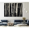 thumbnail image 2 of Giant Art 72x54 Birch Trees Fine Art Giant Canvas Print in White, 2 of 3