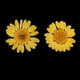 thumbnail image 4 of 12 piezas das hojas secas relleno de muestras de pntas para decoración de uña álbumes de recorte manu BLESIY Flores secas prensadas naturales, 4 of 8
