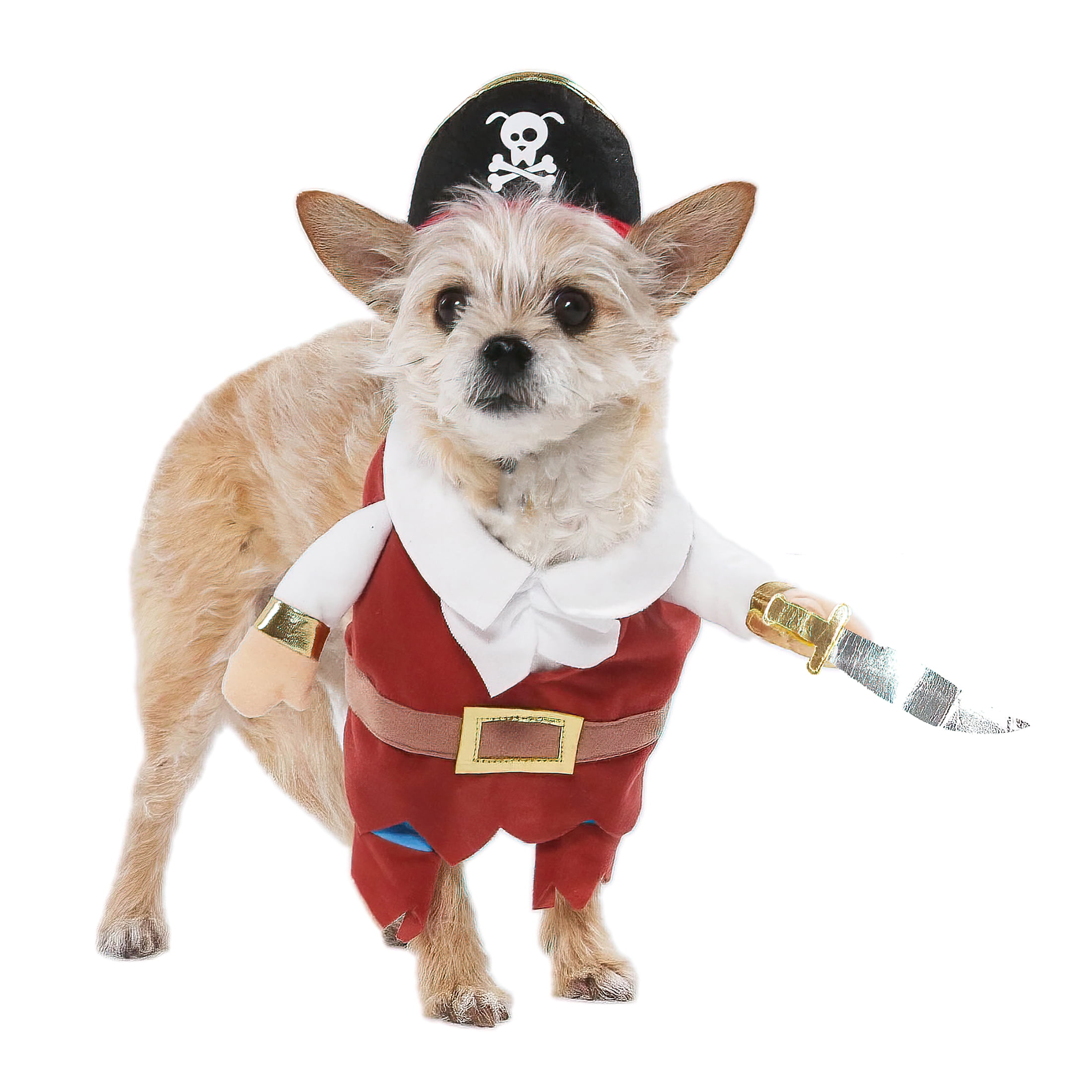 Vibrant Life Halloween Dog Costume and Cat Costume: Pirate, Size Extra-Small