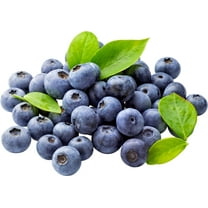 Southern Blueberry 50 Seeds - Blueberries Organic Seeds for Planting, Blueberries Fresh Fruit Seeds, Non GMO Berry Seeds, Dwarf Blueberry Bush Seeds for Planting Indoors