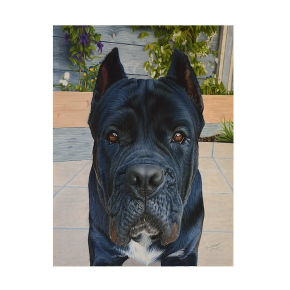 Steve Crockett 'Pet Portrait Of Genghis The Cane Corso' Canvas Art