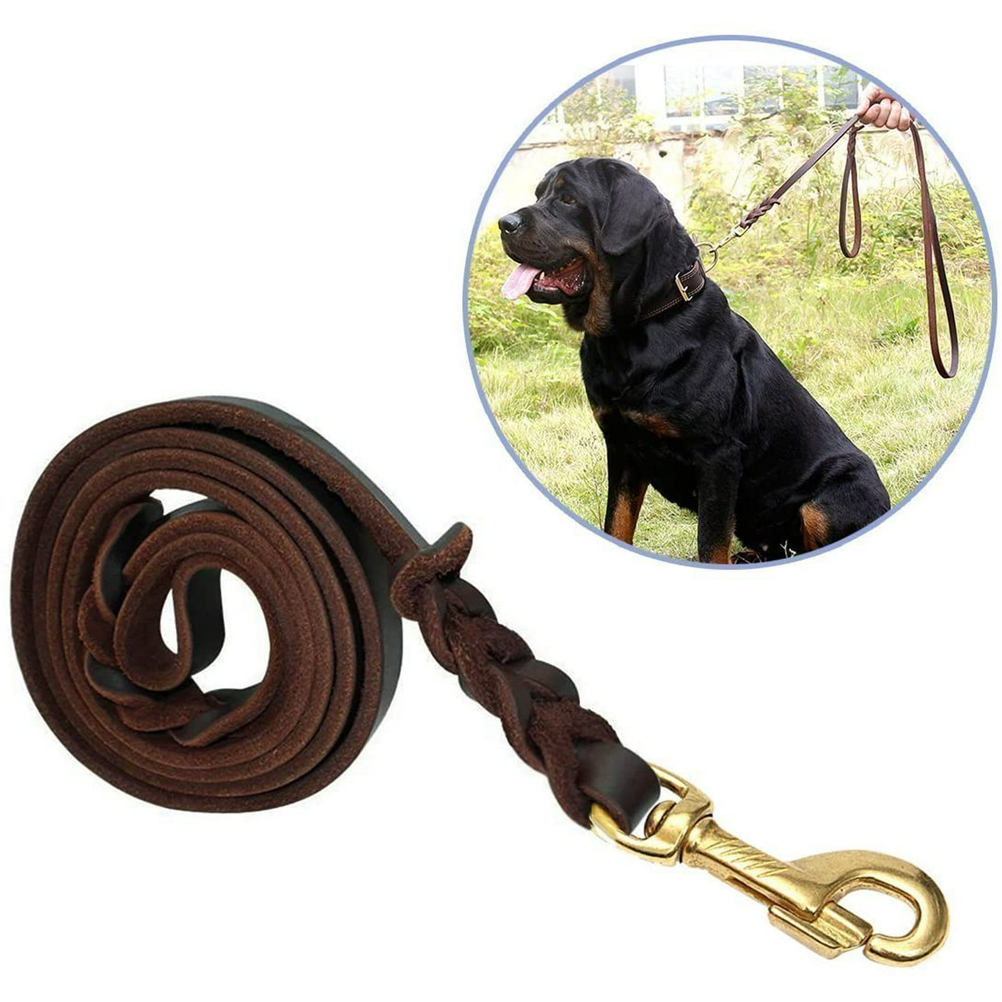 Dog leash brands hotsell