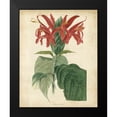 thumbnail image 2 of Edmonston and Douglas 15x18 Black Modern Framed Museum Art Print Titled - Tropical Floral V, 2 of 5