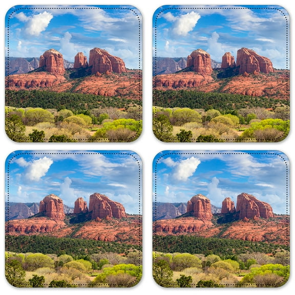 Vinyl Drink Coasters - Set of 4 - Desert Greenscape