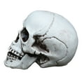 thumbnail image 2 of TABLZONE White Plastic Model Skeleton Decoration for Party Home Set, 2 of 7