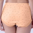 thumbnail image 4 of Plus Size Women's Cotton Panties, Floral Comfort Soft Underwear Full Coverage Panty,Comfy Cotton Granny Panties Full Cut for Old Lady, 4 of 4